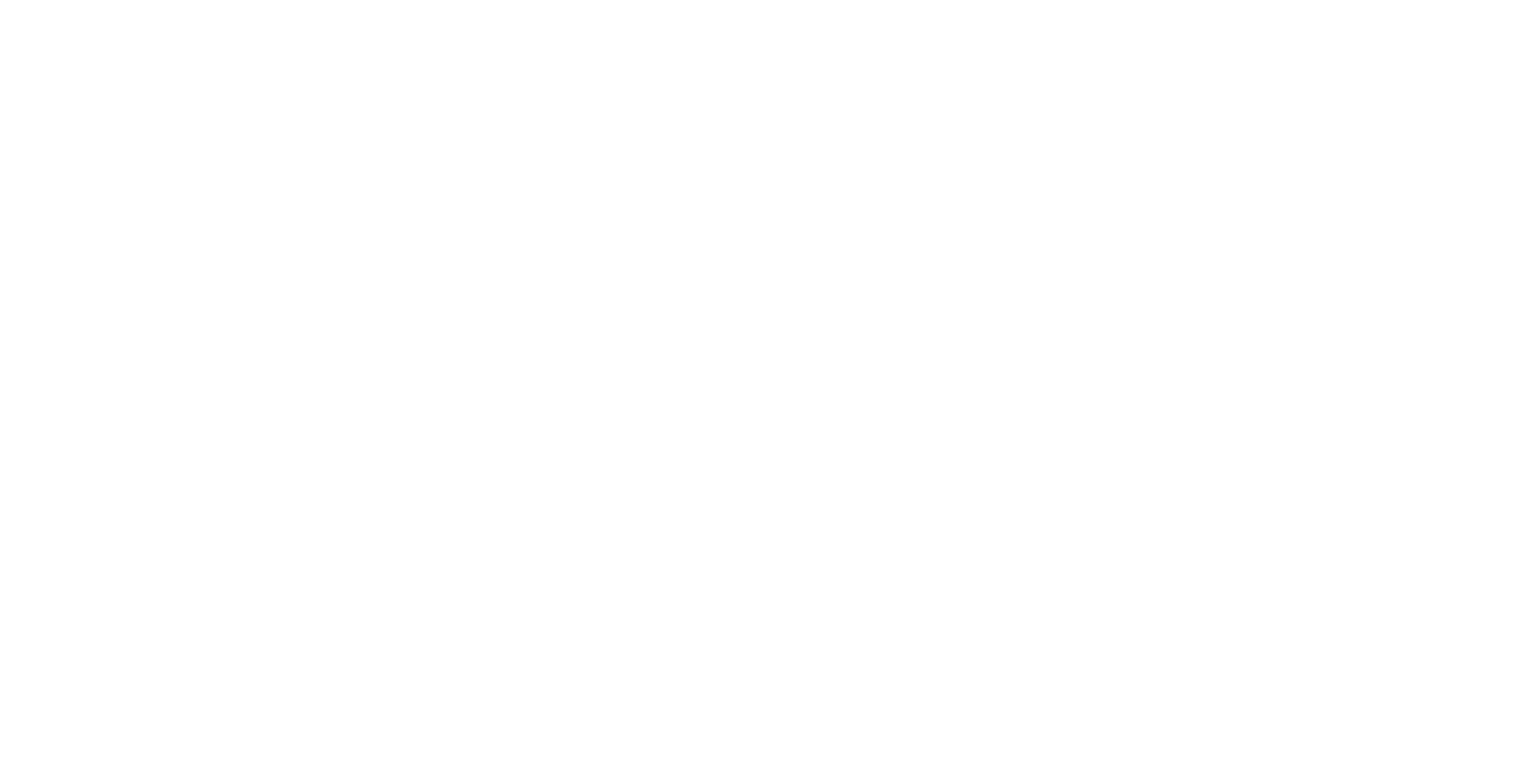 Projekt Ion